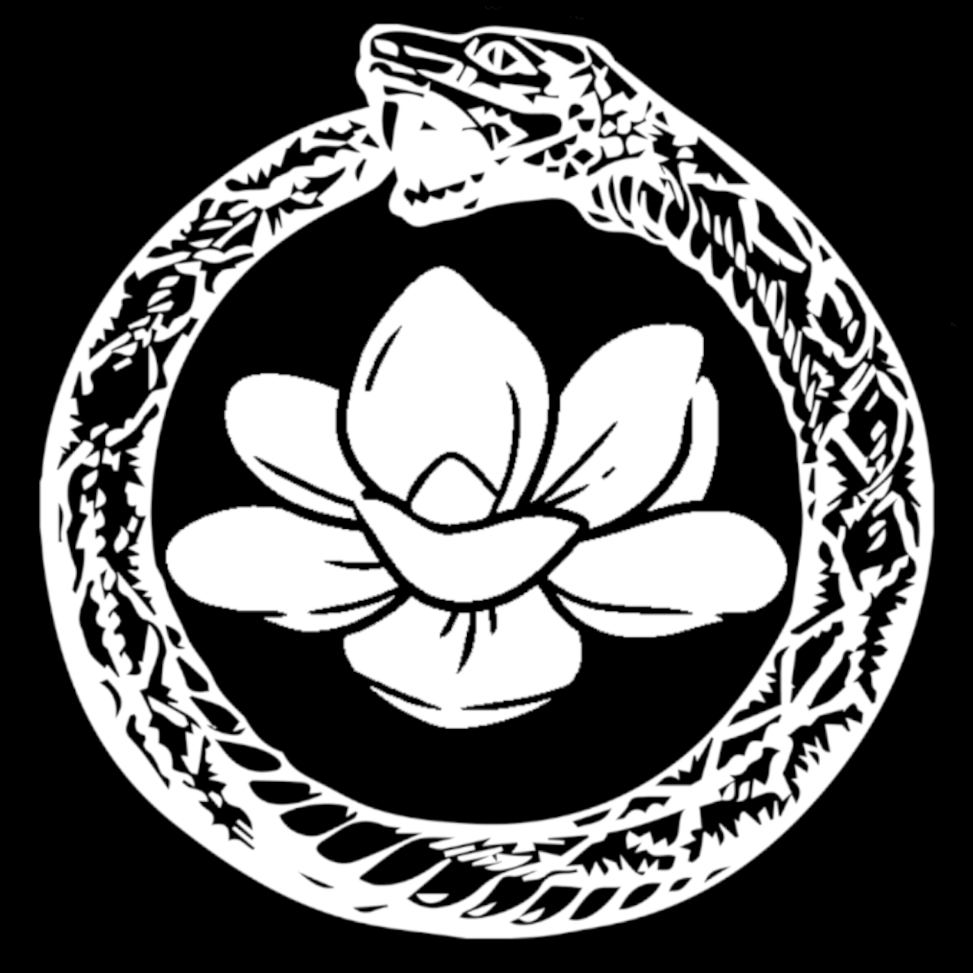 Nadiricon official website logo